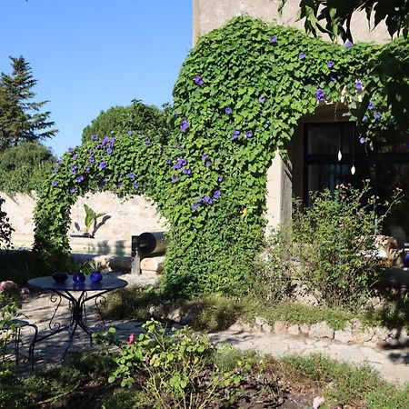 Bed and Breakfast Aux Pots Bleus Nissan-lez-Enserune Exteriér fotografie